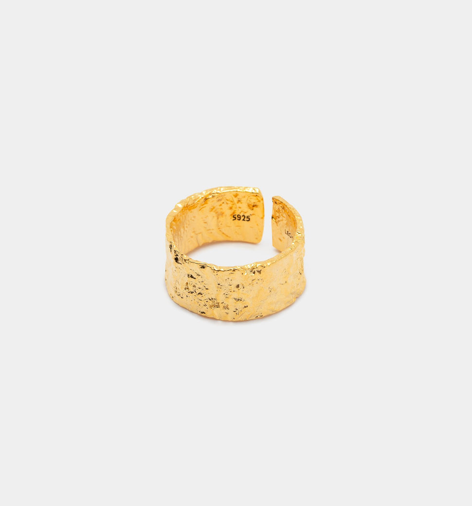 Amsterdam Ring II - Leo Chevon