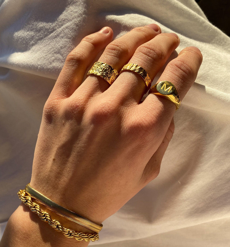 Amsterdam Ring II - Leo Chevon