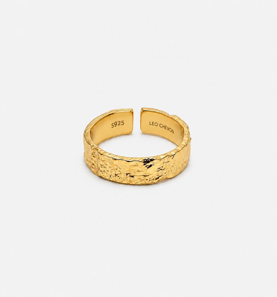 Amsterdam Ring - Ringer