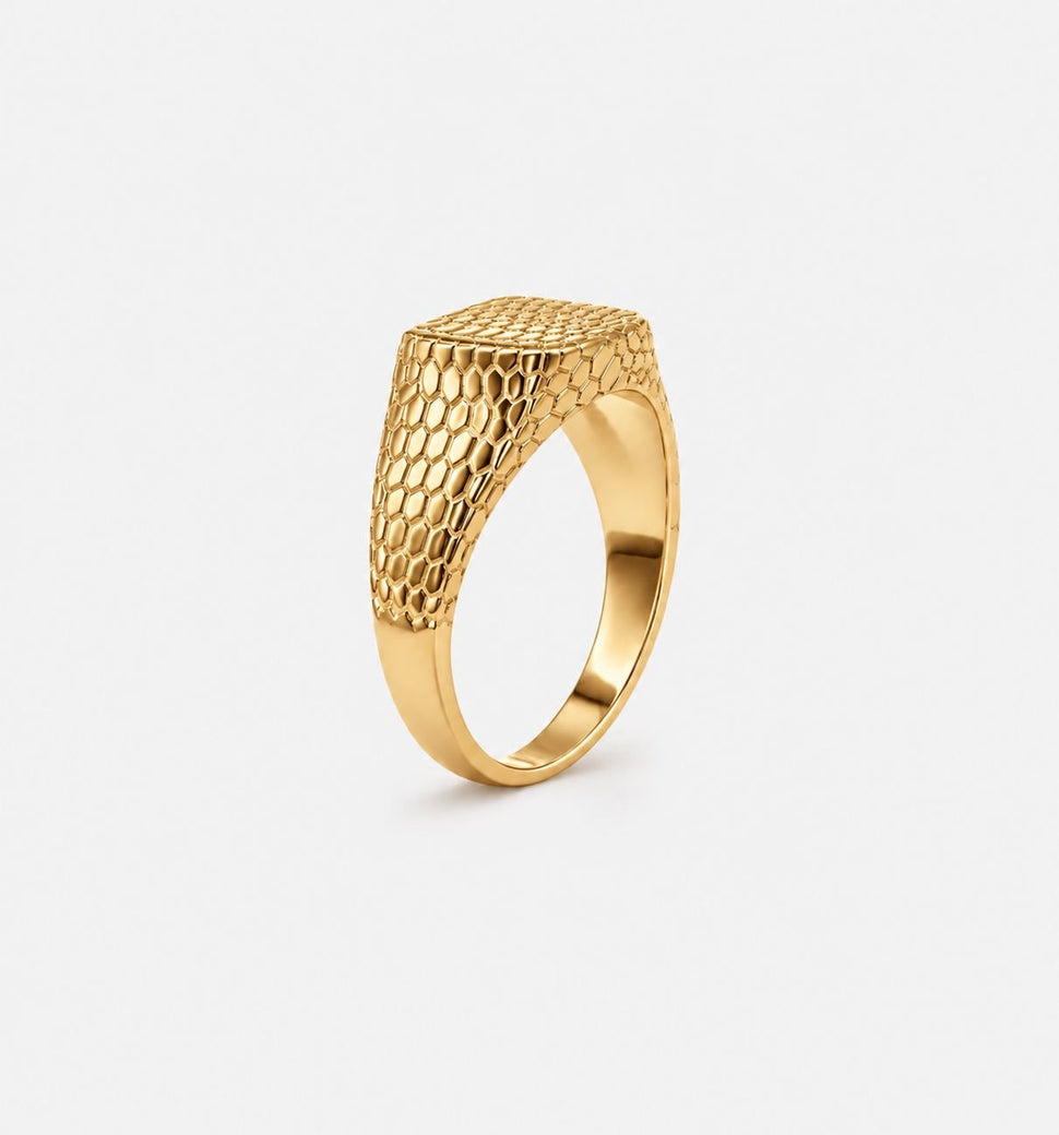 Oslo Snake Ring - Ringer