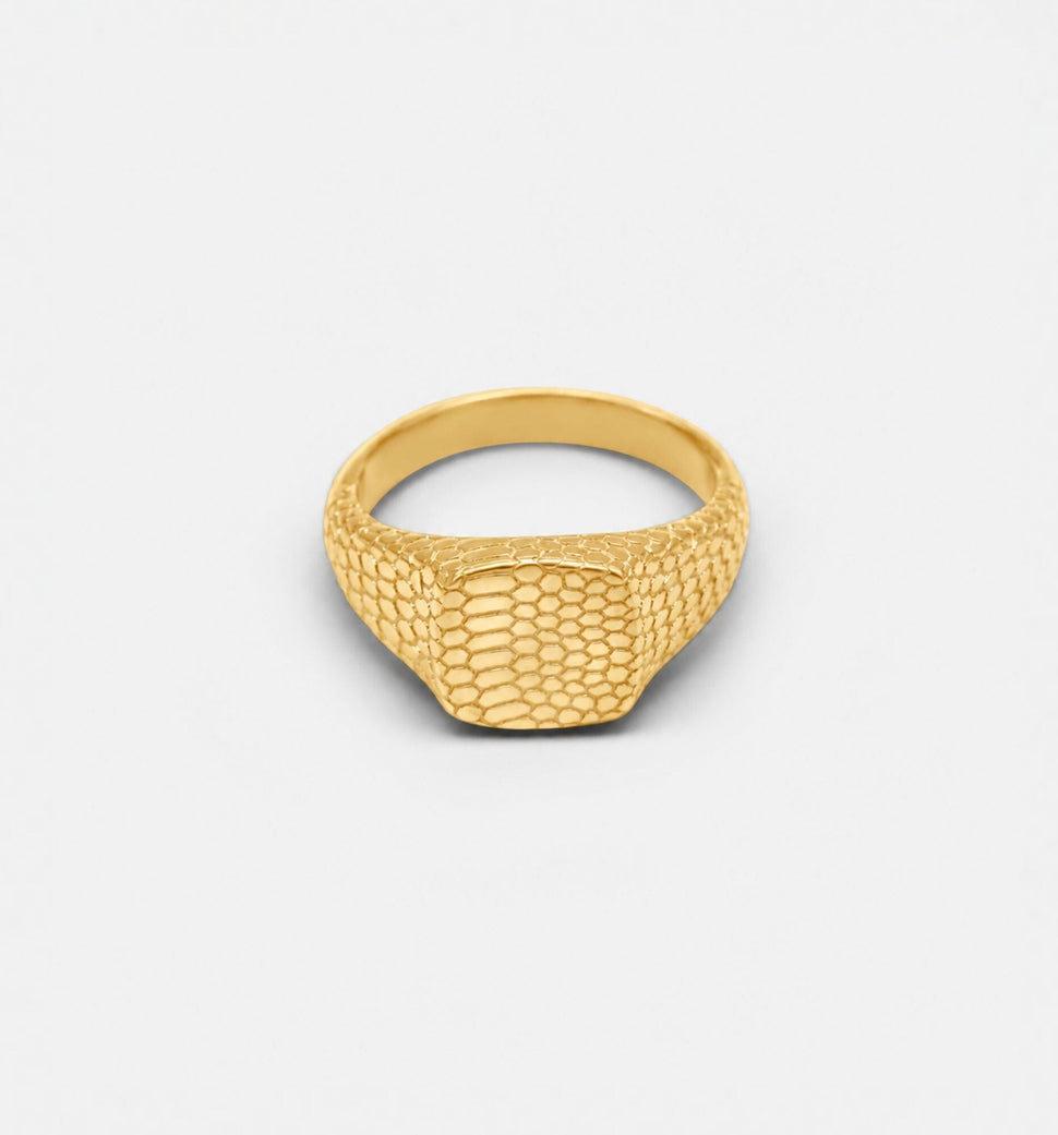 Oslo Snake Ring - Ringer