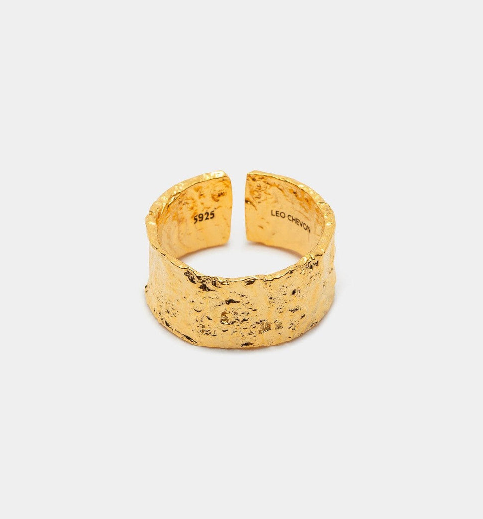 Amsterdam Ring II - Ringer