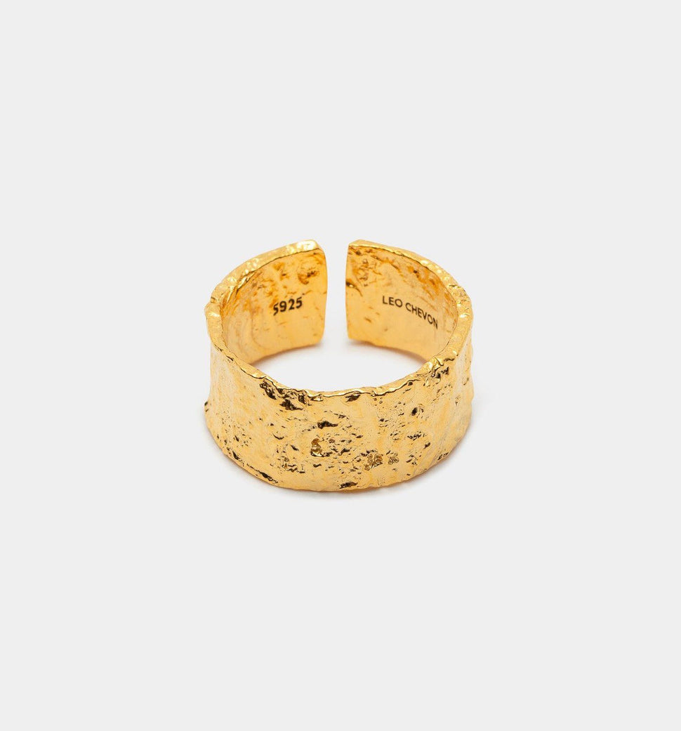 Amsterdam Ring II - Ringer