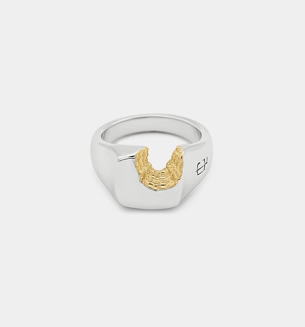 Oslo Krater Ring - Ringer